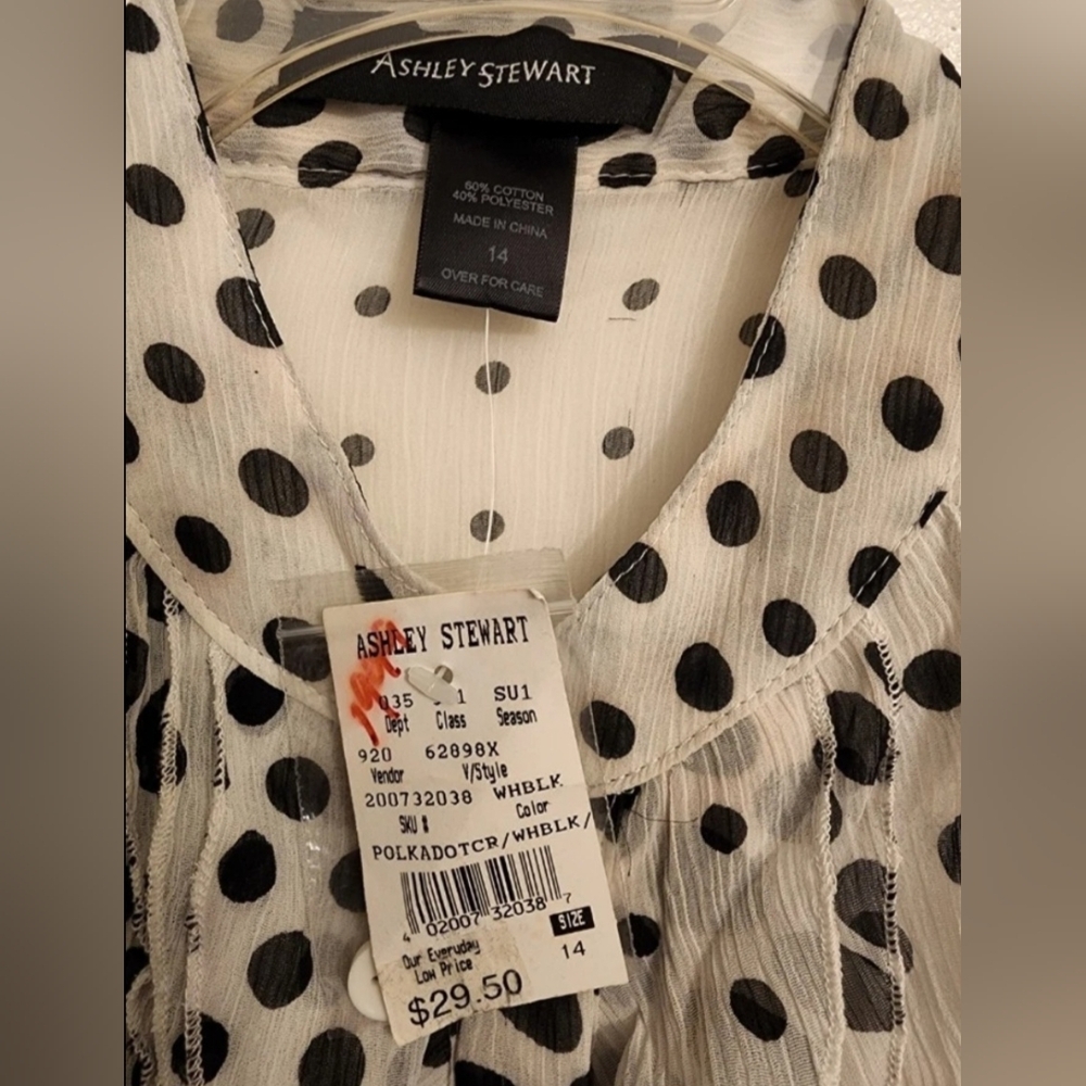 Flash Sale: Polka Dot Ruffle Blouse - Picture 2 of 6